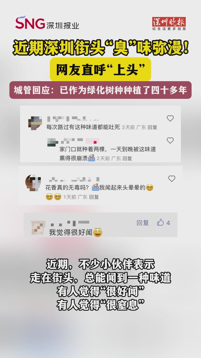 近期，深圳街头“臭”味弥漫！网友直呼“上头”，城管回应：已作为绿化树种种植了四十多年