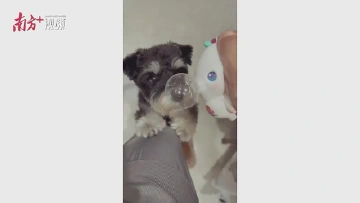 欢迎来到全运会乐园!