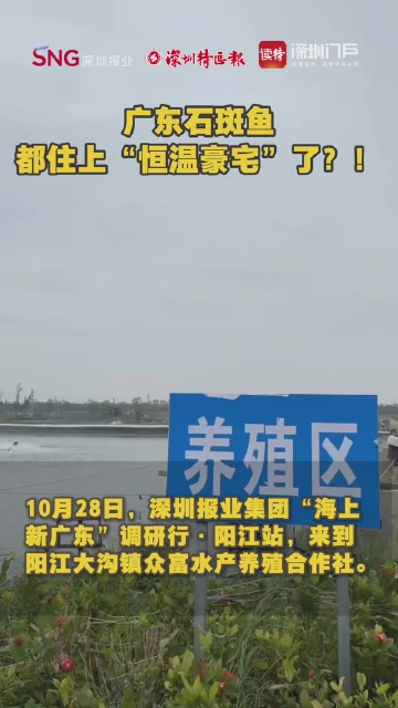 广东石斑鱼都住上“恒温豪宅”了？！