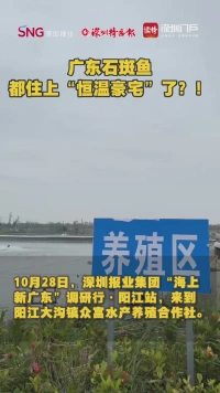 广东石斑鱼都住上“恒温豪宅”了?!