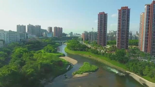 《城市寻梦记》上线！解锁深圳生态文明建设“密码”