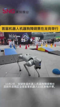 全球首届机器人机器狗障碍赛在深圳龙岗激情开赛