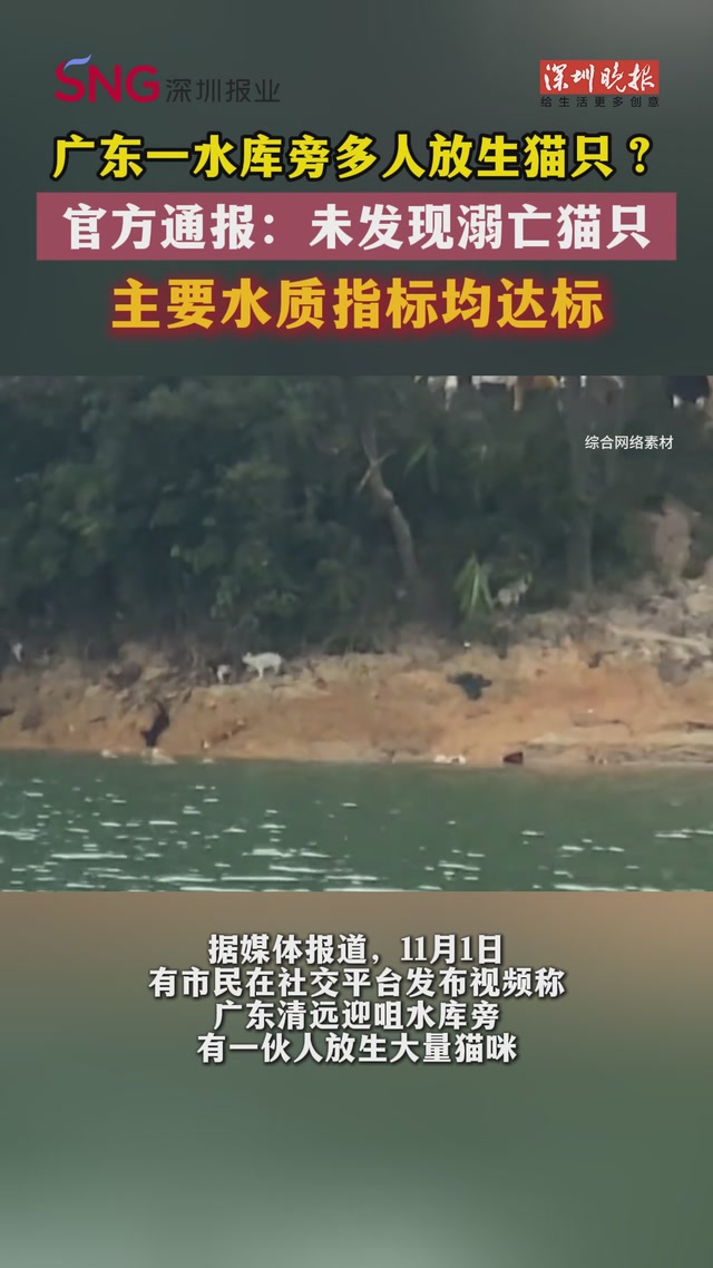 广东一水库旁多人放生猫只？ 官方通报：未发现溺亡猫只