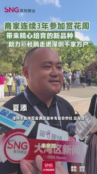 商家连续3年参加赏花周
带来精心培育的新品种
“助力簕杜鹃走进深圳千家万户”