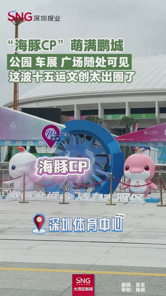 深圳到处都是“海豚CP”