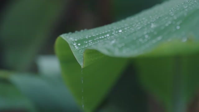 十五运会开幕式主题歌《天海一心》MV正式发布！