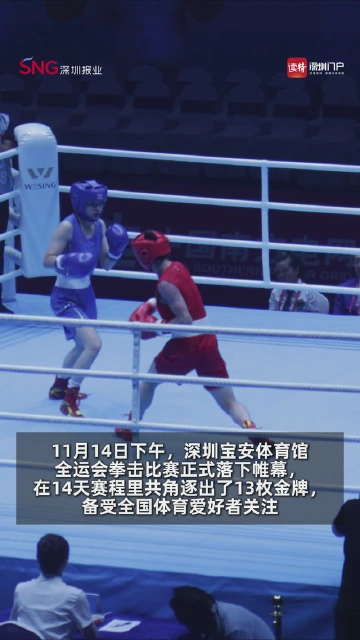 致敬200名“小海豚”！给宝安志愿者点赞