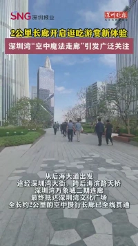 2公里长廊开启逛吃游赏新体验，深圳湾“空中魔法走廊”引发广泛关注