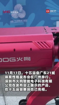 深圳企业机器狗助力十五运,现场展示很吸引眼球
