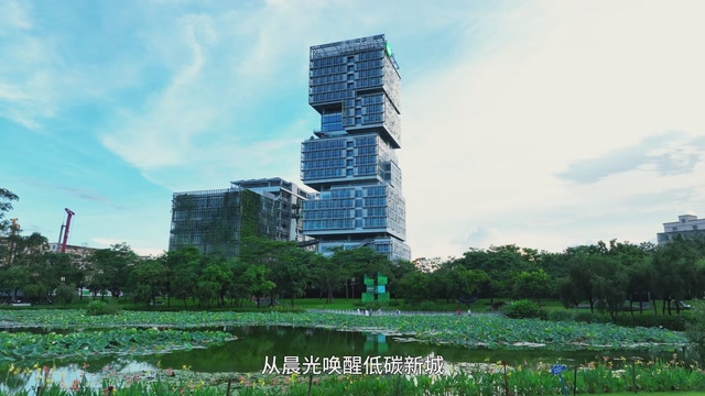 视频丨坪地2025“四有”绘答卷：低碳新城藏暖意，品质生活加速度