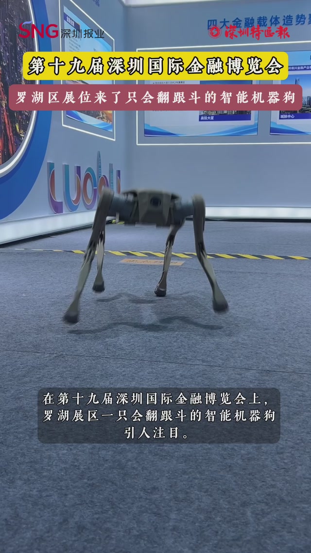 在第十九届深圳国际金融博览会上，罗湖区展位来了只会翻跟斗的智能机器狗