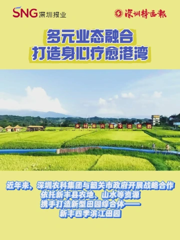 多元业态融合 打造身心疗愈港湾