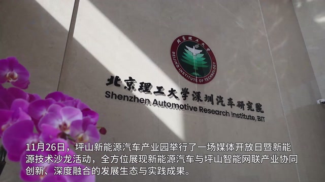 视频｜探访坪山新能源汽车产业集群式发展：上下楼就是上下游，产业园就是产业链