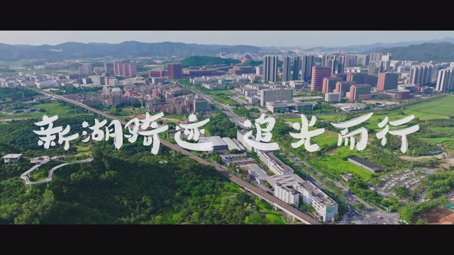 新湖骑迹，追光而行