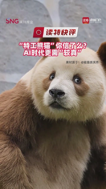 读特快评｜“特工熊猫”你信了么？AI时代更需“较真”