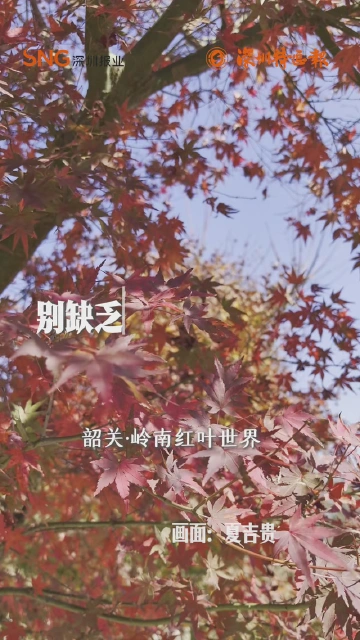 早安，深圳 | 2025年12月18日