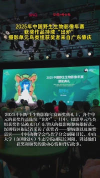 2025年中国野生生物影像年赛获奖作品持续“出炉”,摄影单元鸟类组获奖者来自广东肇庆