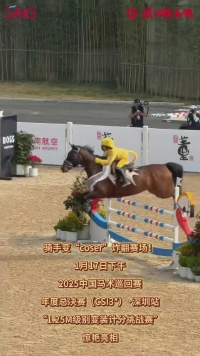 “马”上整活！深圳光明上演马术“cosplay秀”