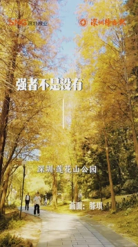 早安，深圳 | 2026年1月18日
