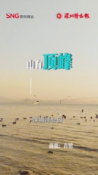 早安，深圳 | 2026年1月20日