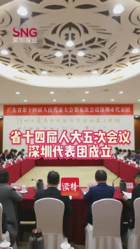 省十四届人大五次会议深圳代表团成立