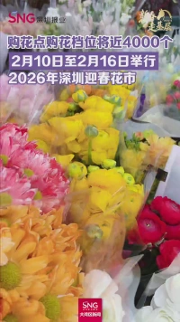 2026年深圳迎春花市抢先看