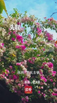 早安,深圳 | 3月9日