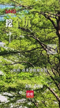 早安，深圳 | 3月12日