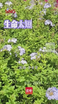 早安，深圳 | 3月13日