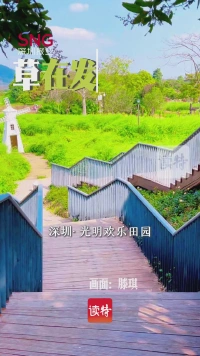 早安，深圳 | 3月17日