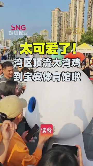 太可爱了！湾区顶流大湾鸡到宝安体育馆啦