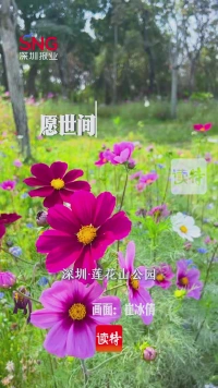 早安，深圳 | 4月14日