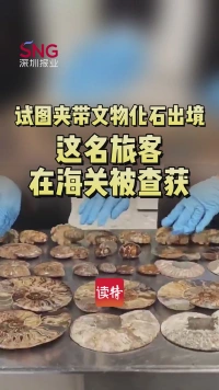 试图夹带文物化石出境？这名旅客在西九龙海关被查获