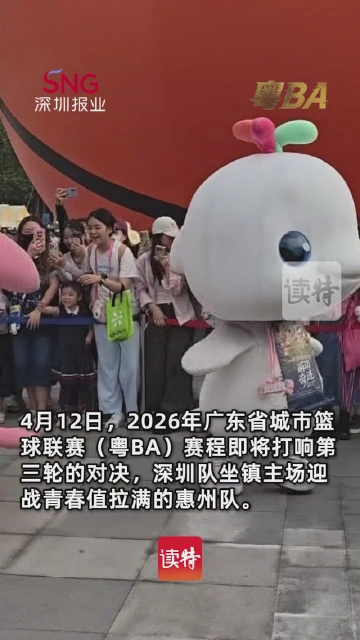 顶流驾到！“大湾鸡”闪现粤BA深圳赛场萌翻全场助力深圳队