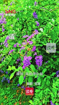 早安，深圳 | 4月18日