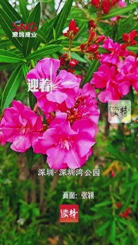 早安，深圳 | 4月17日