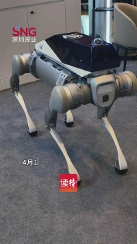 招商局狮子山AI实验室机器狗亮相香港创科展