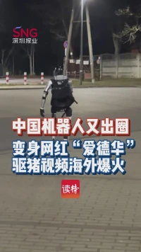 中国机器人又出圈，变身网红“爱德华”，驱猪视频海外爆火