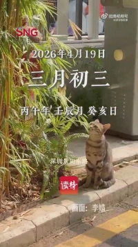 早安，深圳 | 4月19日