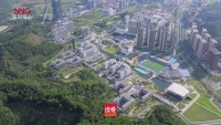 一镜到底！带你走进深圳理工大学，遇见建筑与自然共生之美