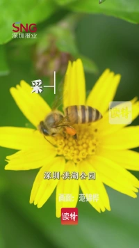 早安，深圳 | 6月12日
