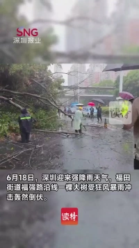 暴雨突袭福田街道福强路，抢险队伍冒雨清障